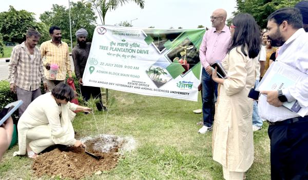 College of Dairy and Food Science Technology Organizes Tree Plantation Drive